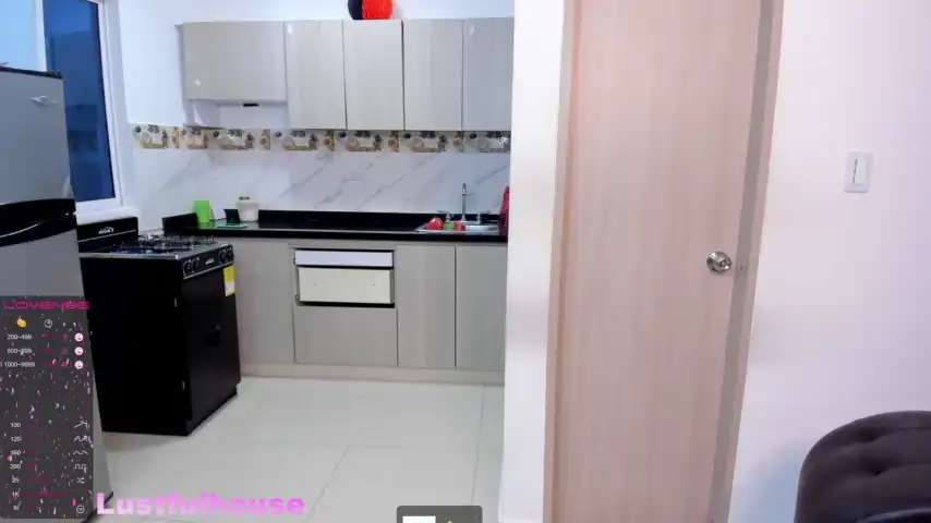 Lustfulhouse – [Stripchat] Twerking Hard Pvt Sensual – 2025-01-22 23:42:04